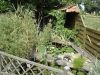 DSC05070.jpg